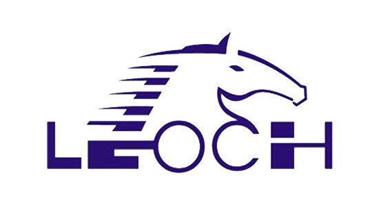 Leoch Battery Technology Co.